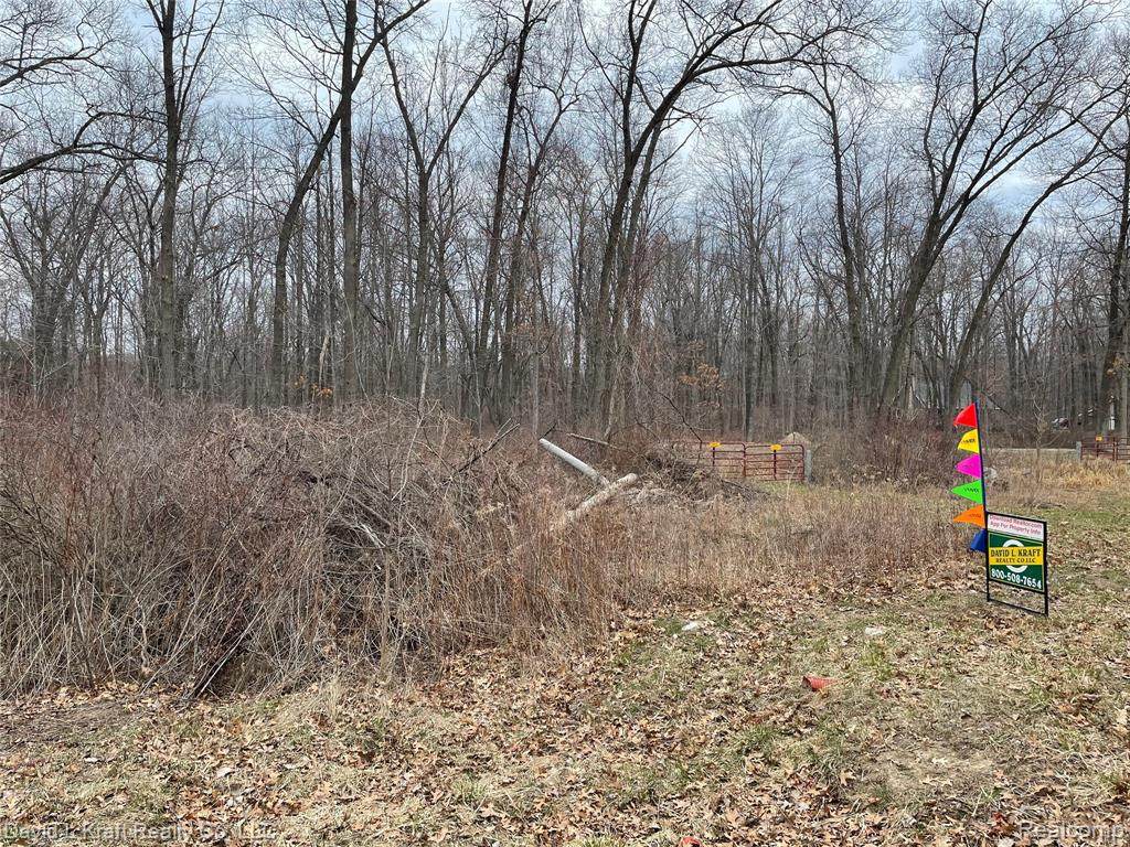 4230 Sand Rd - Photo 1