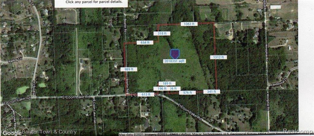 V/L Coon Lake Rd - Photo 1