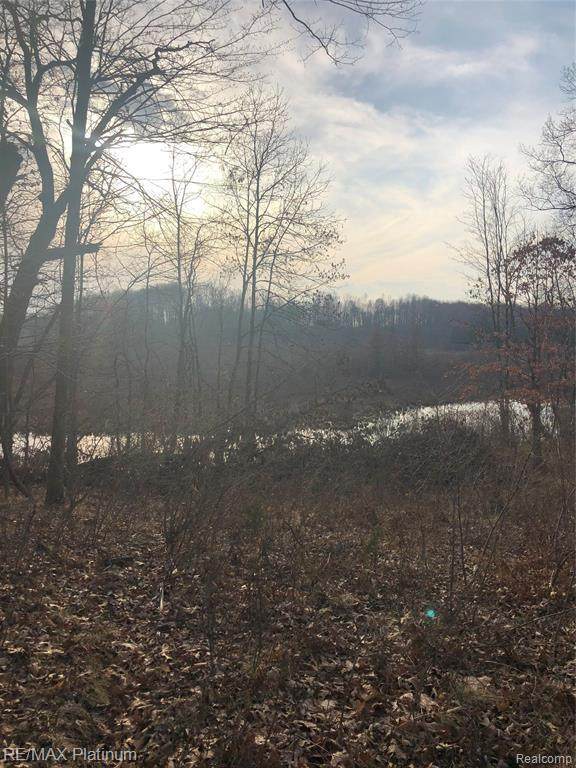 11992 Merrill Rd - Photo 1
