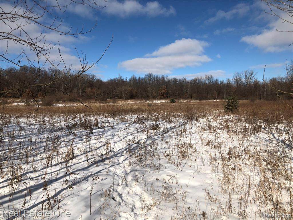 000 Coats Rd - Photo 1