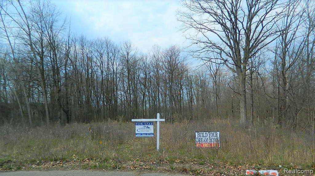 6131 Maple Forest Crt - Photo 1