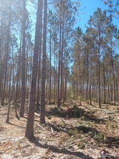 15729 Healy Lake Road - Photo 1