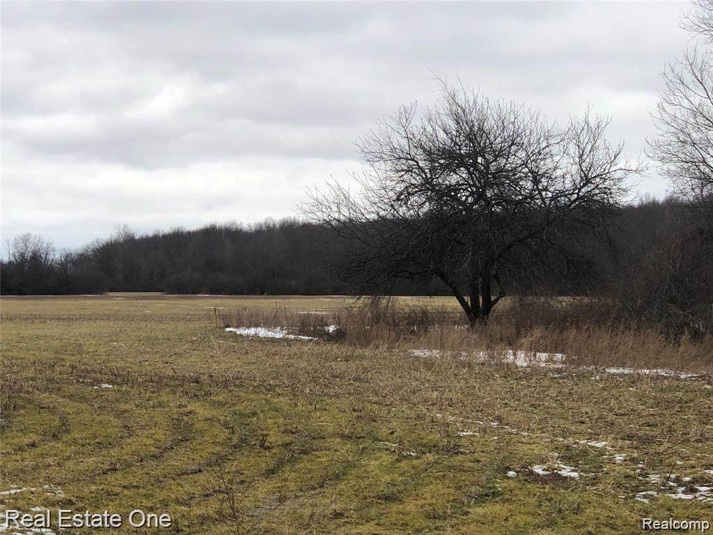 75901 North Ave - Photo 1