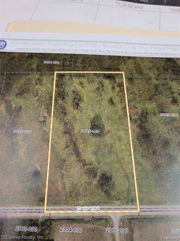 Vacant Carrigan Rd - Photo 1