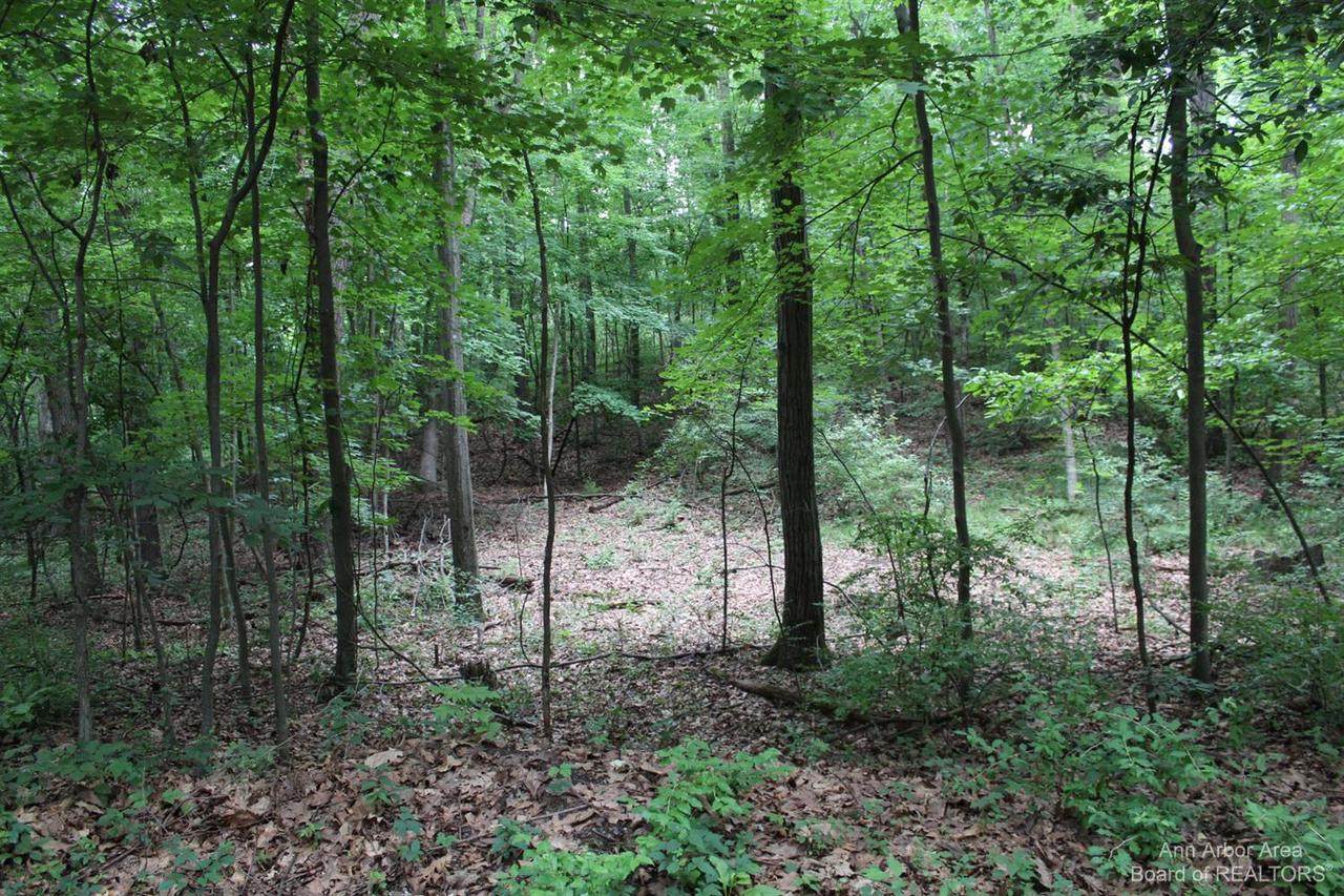 0 13499 RIKER RD. PARCEL D - Photo 1