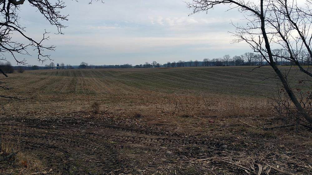 11251 Warner Rd - Photo 1