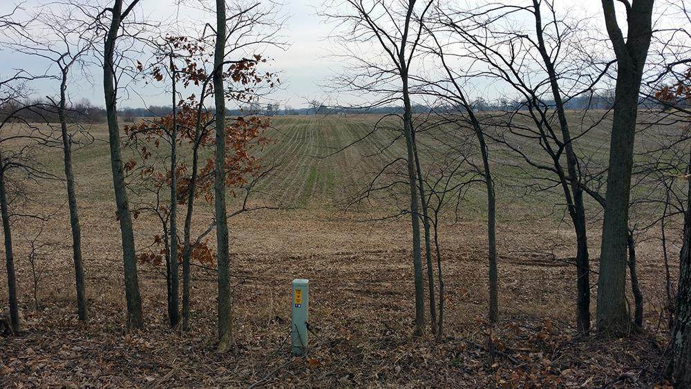 11359 Warner Rd - Photo 1