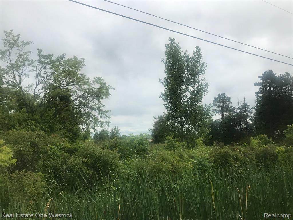 0 Marine City Hwy - Photo 1