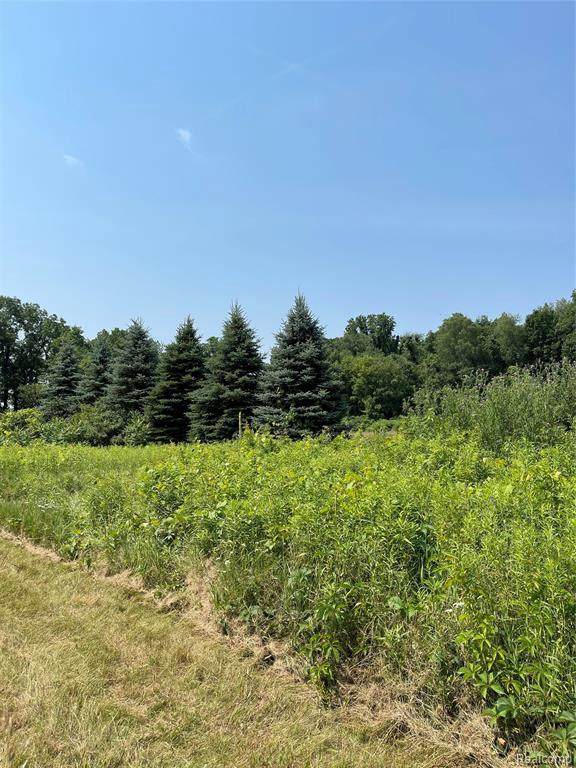 22150 Donna's Dr - Photo 1