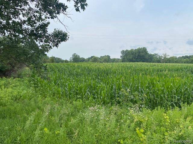 00 Bull Run Rd - Photo 1