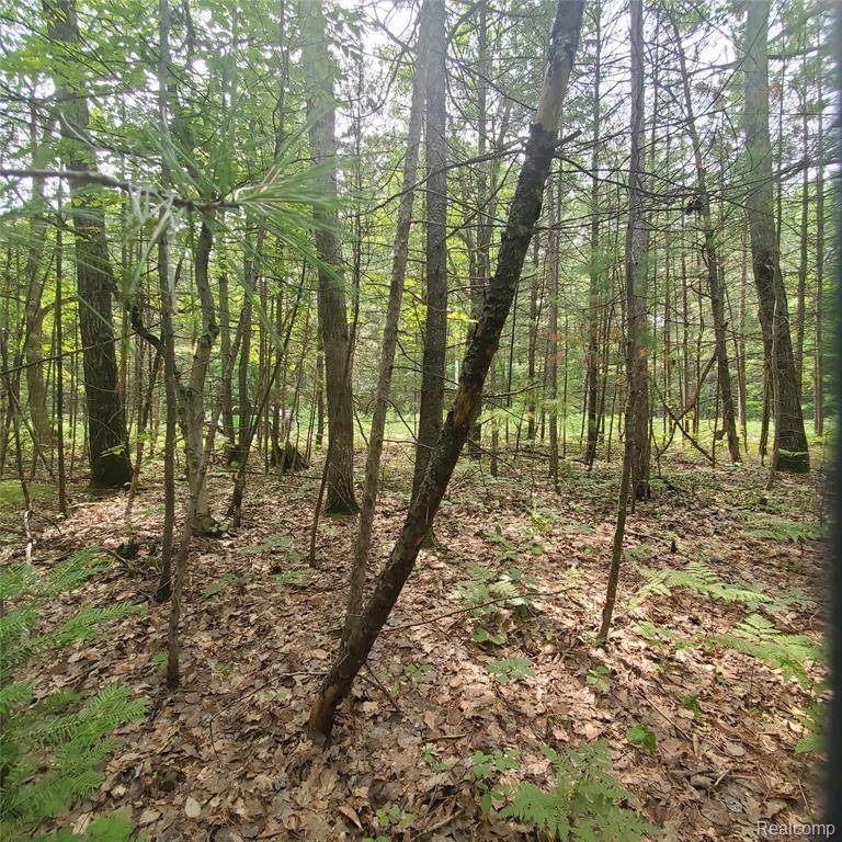 0 Lake Valley Rd - Photo 1