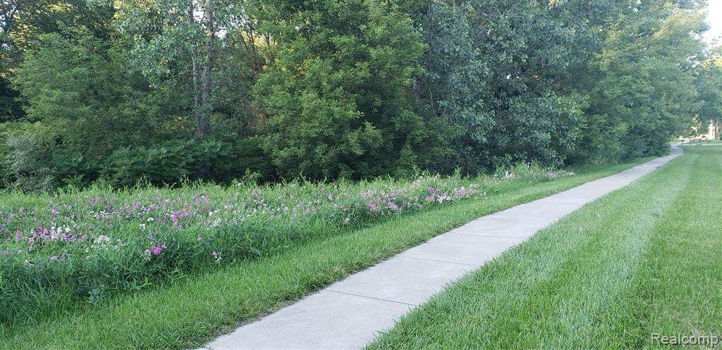 9804 King Rd - Photo 1