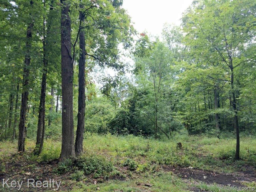 01 Joann Dr - Photo 1