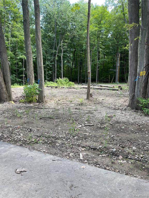 4920 Marcella Dr - Photo 1