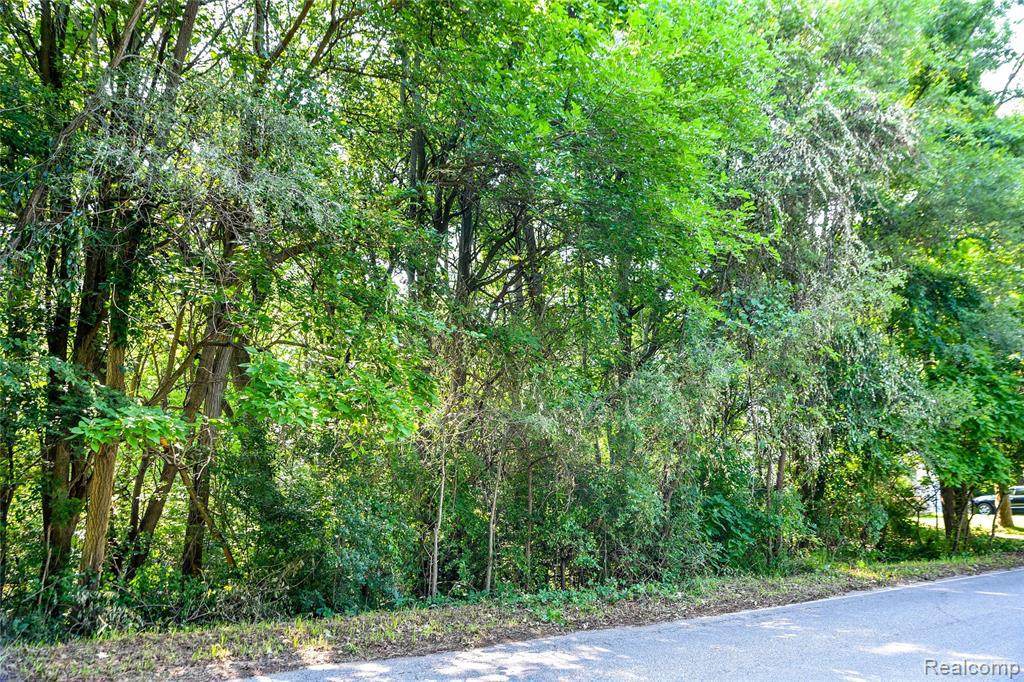 000 Pine Tree Rd - Photo 1