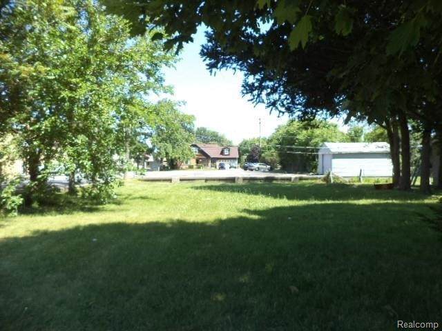 17431 11 MILE - Photo 1