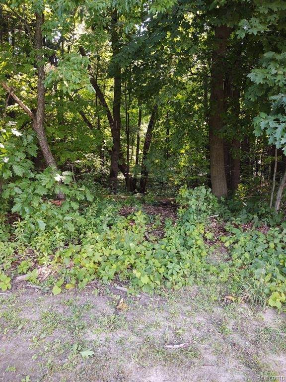 0 Castle Rd - Photo 1