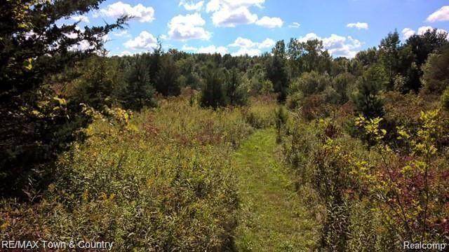0 Coldwater Rd - Photo 1