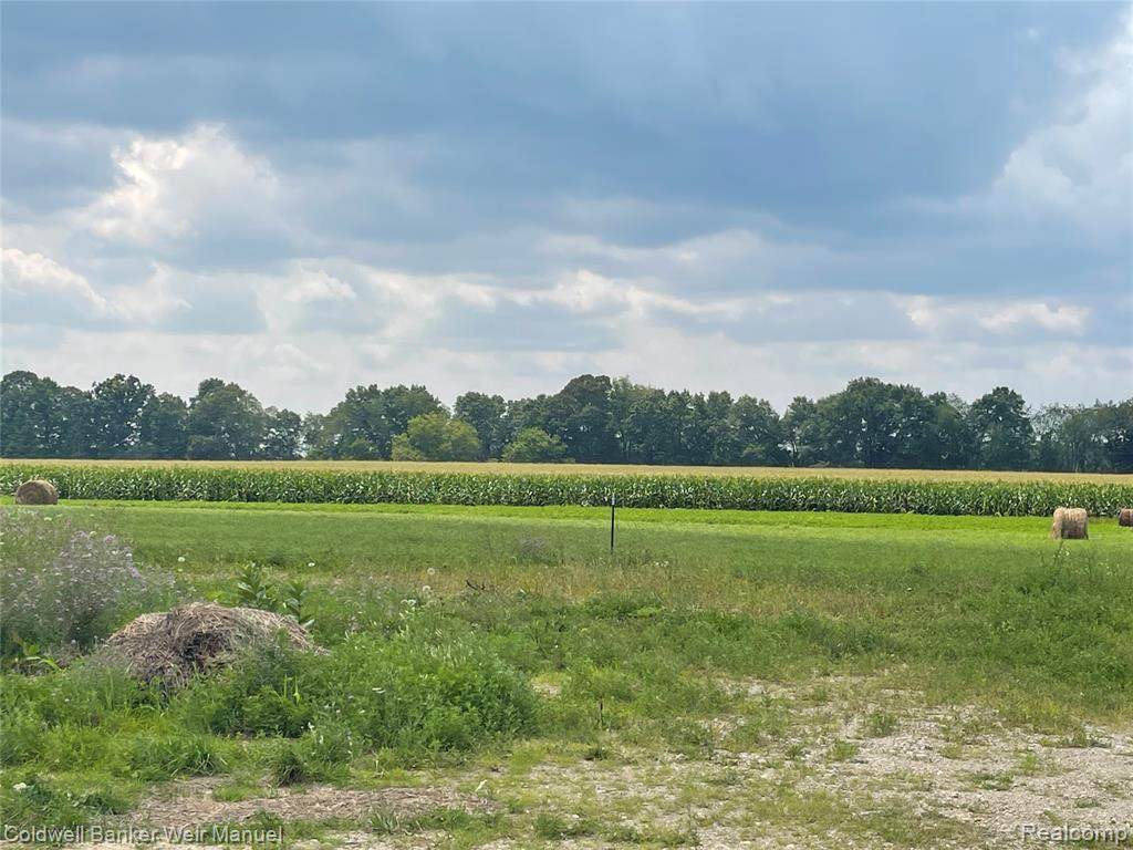 4505 31 MILE RD - Photo 1