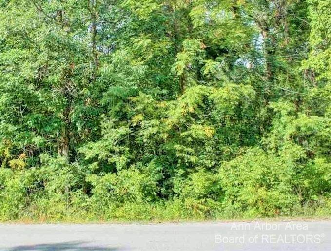 7843 Norfolk Dr - Photo 1