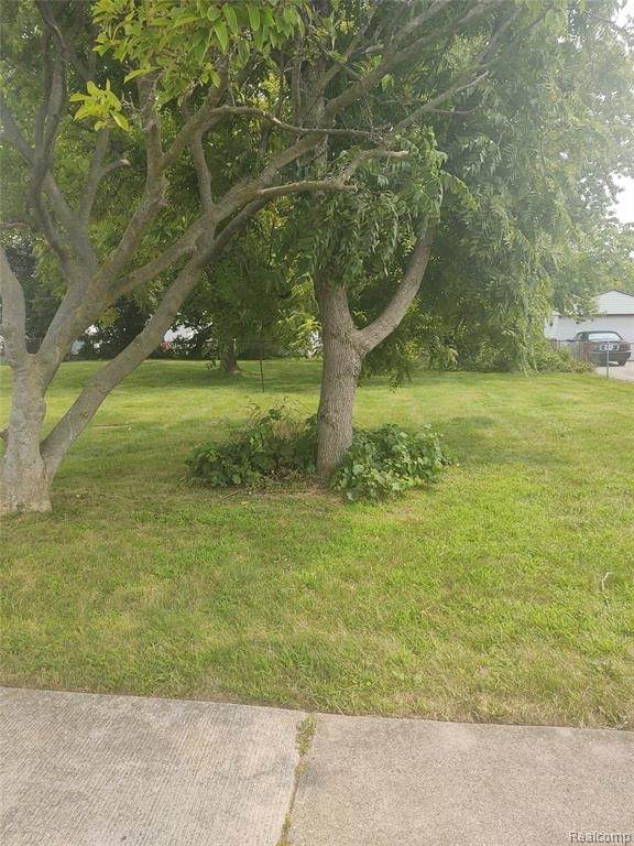 0 Lawn - Photo 1
