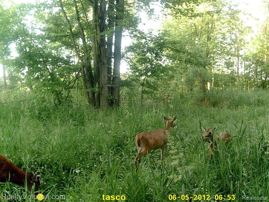 VACANT LAND Wheeling Rd - Photo 1