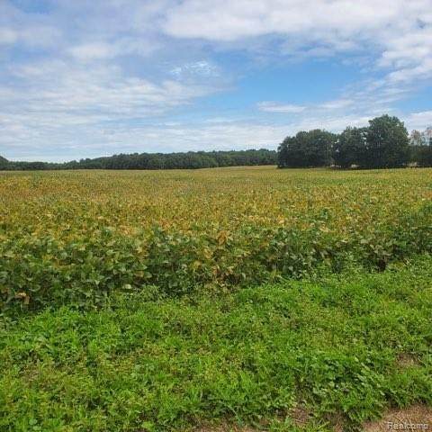 00 Oak Hill Rd - Photo 1