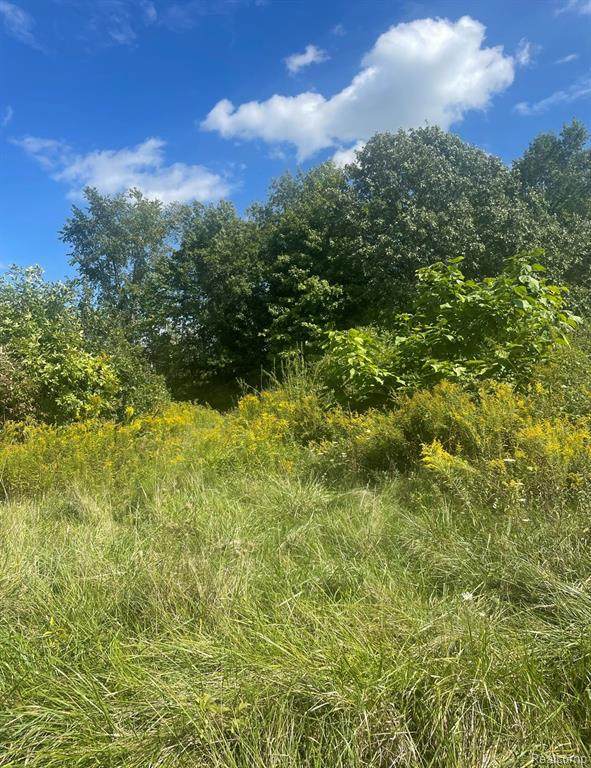 8202 Calkins Rd - Photo 1