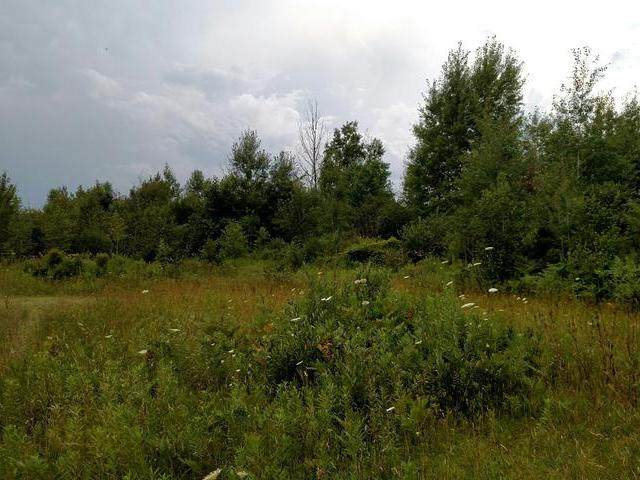 40 acre on Littletown - Photo 1