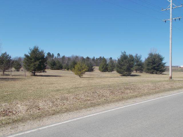 1701 Chappel Dam Road - Photo 1