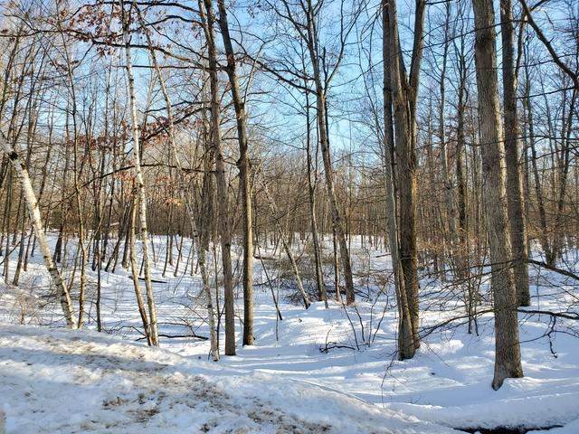 Lot 537 Laurel Lane - Photo 1