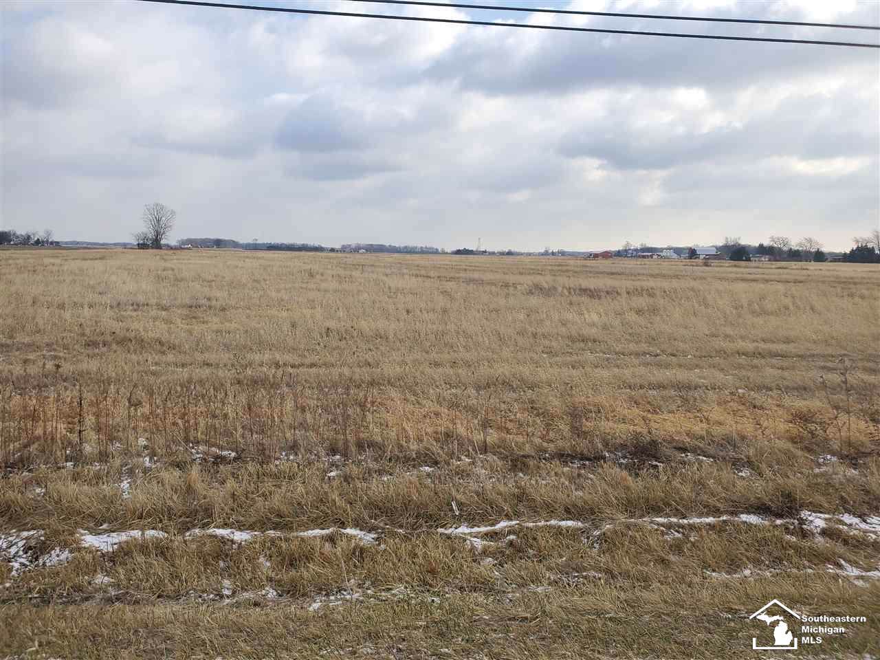 08 Lewis - Photo 1