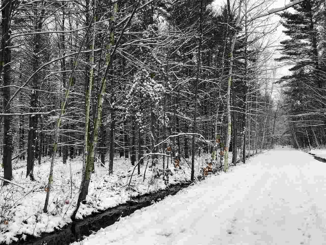000 Buffalo Trail - Photo 1