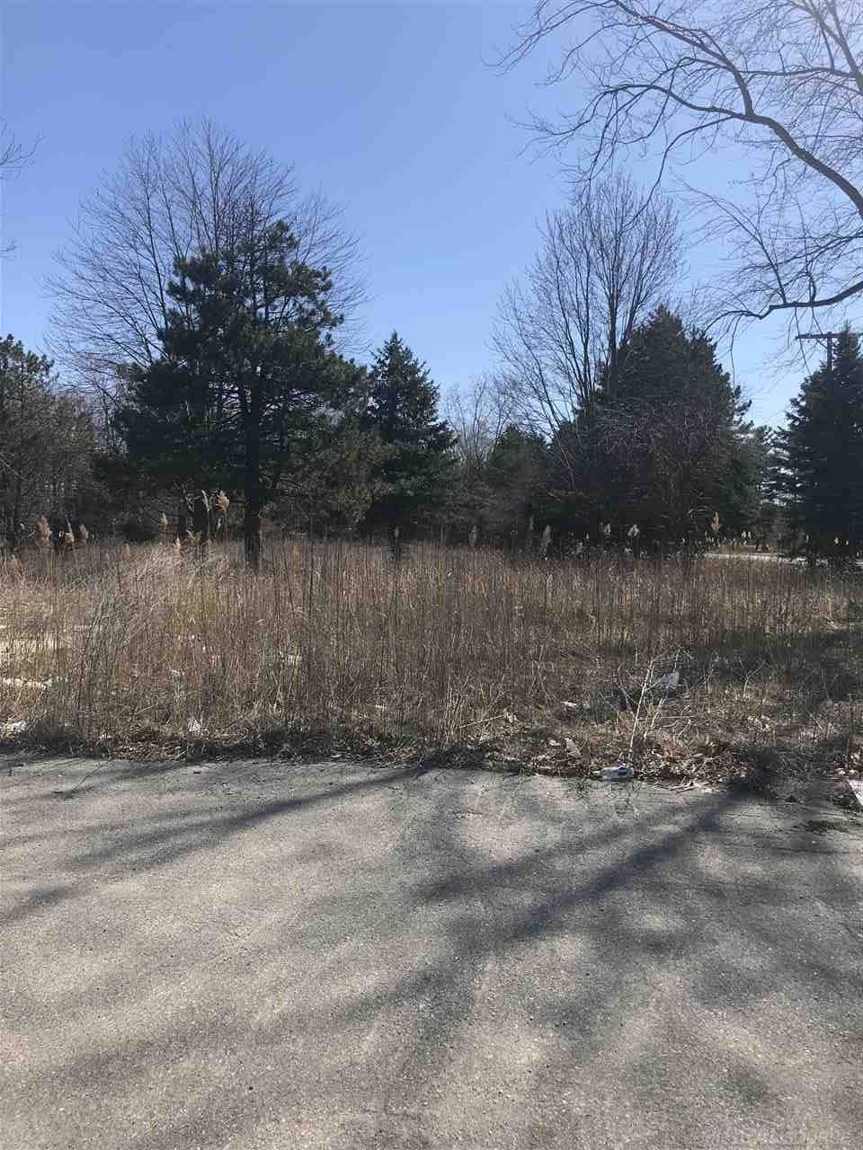 10476 St Clair Hwy - Photo 1