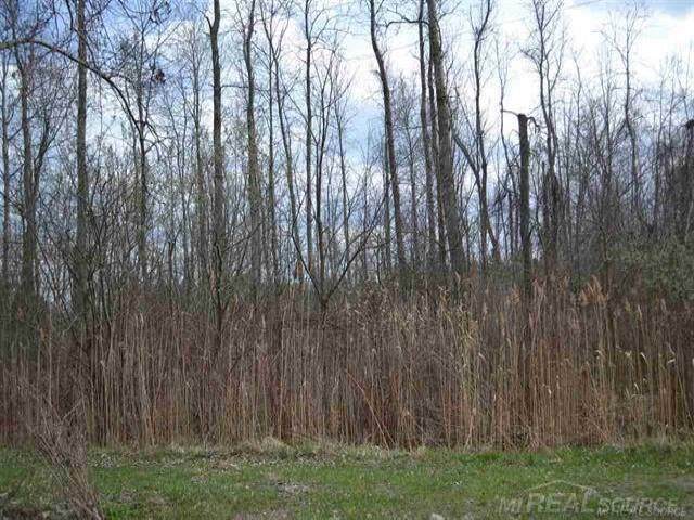 TBD #5 Hickory - Photo 1