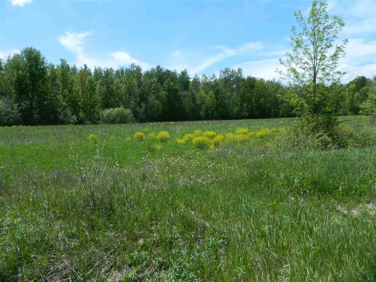 0 Mount Forest Rd - Photo 1