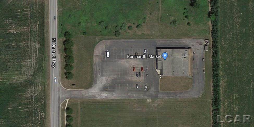 8901 Onsted Hwy - Photo 1