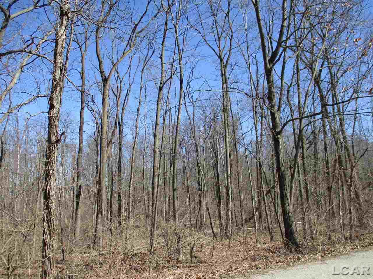 7000 Groger Blk - Photo 1