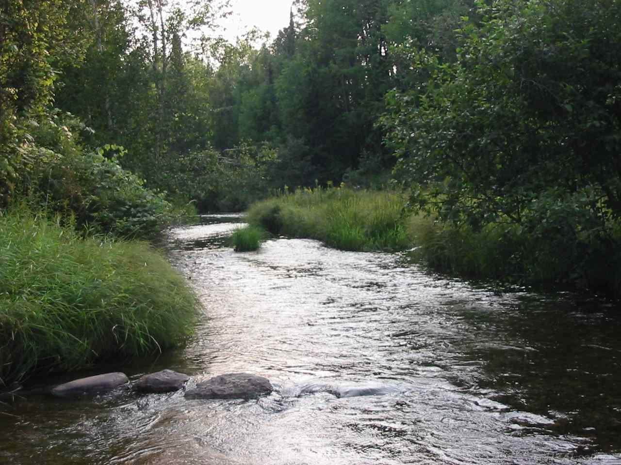 parcel 5 River Rd - Photo 1