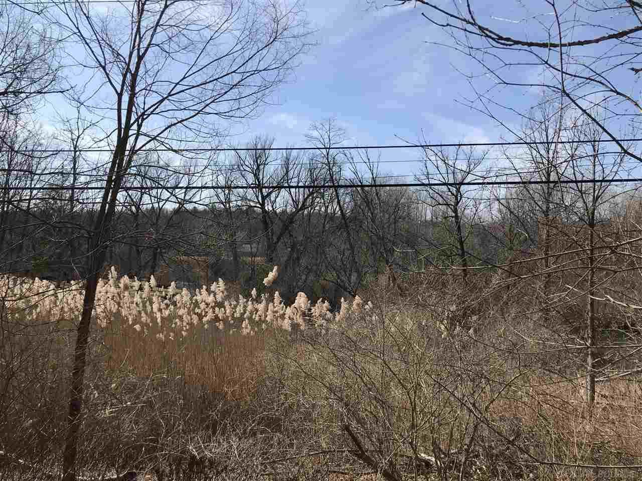 0 Livernois - Photo 1