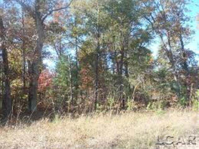 5278 Meridian - Photo 1