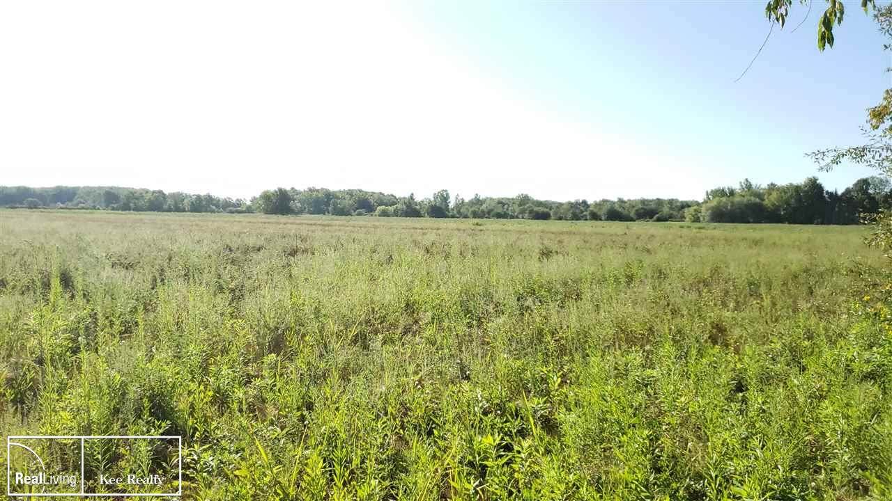 0 Egling Road Parcel "F" - Photo 1