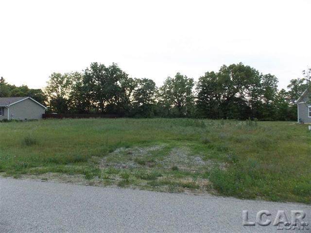 00 Crestone Way - Photo 1