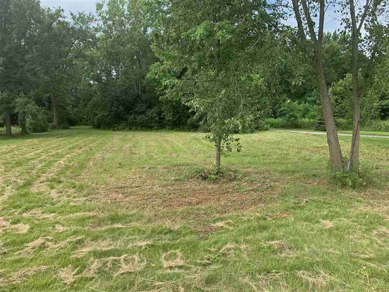 8211 Corunna - Photo 1