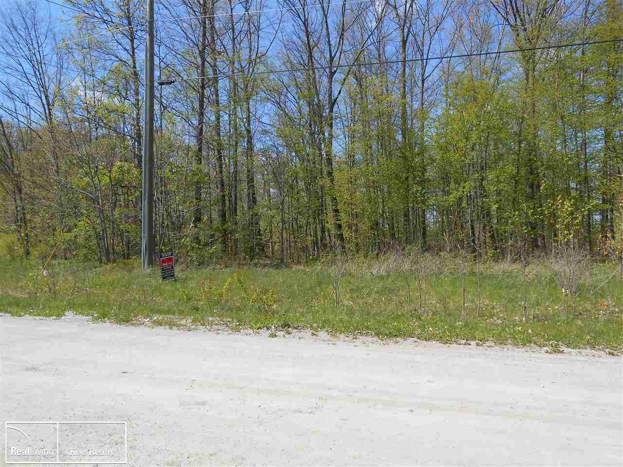 0 Fox Ridge Ln - Photo 1