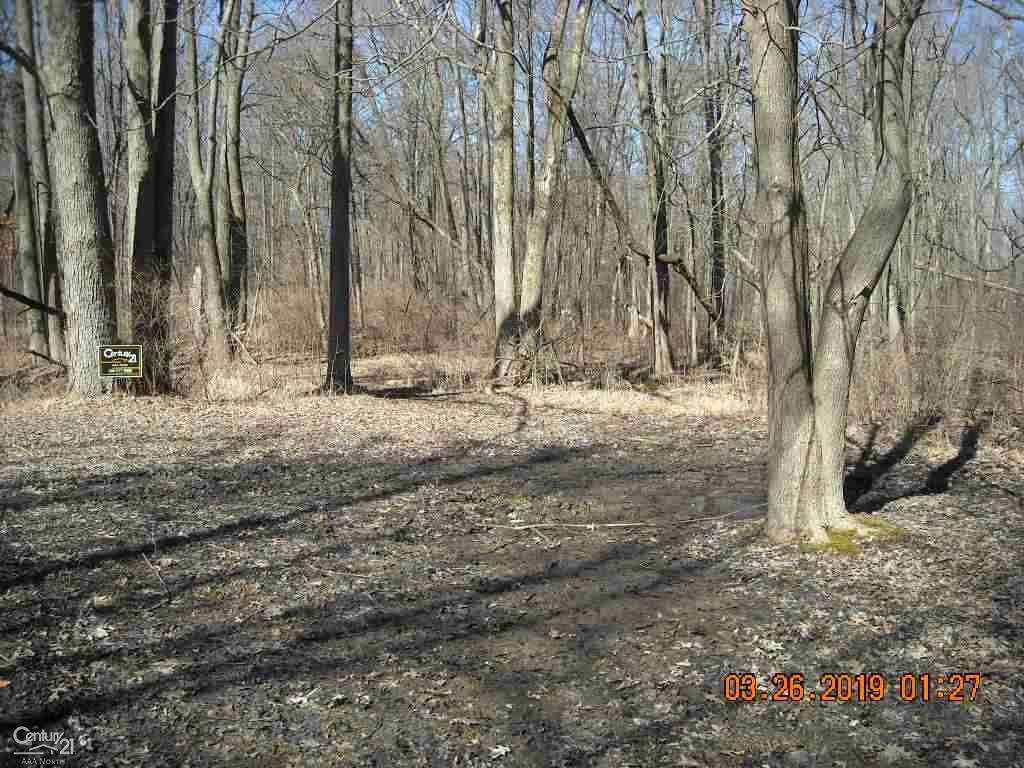0 Driscoll - Photo 1