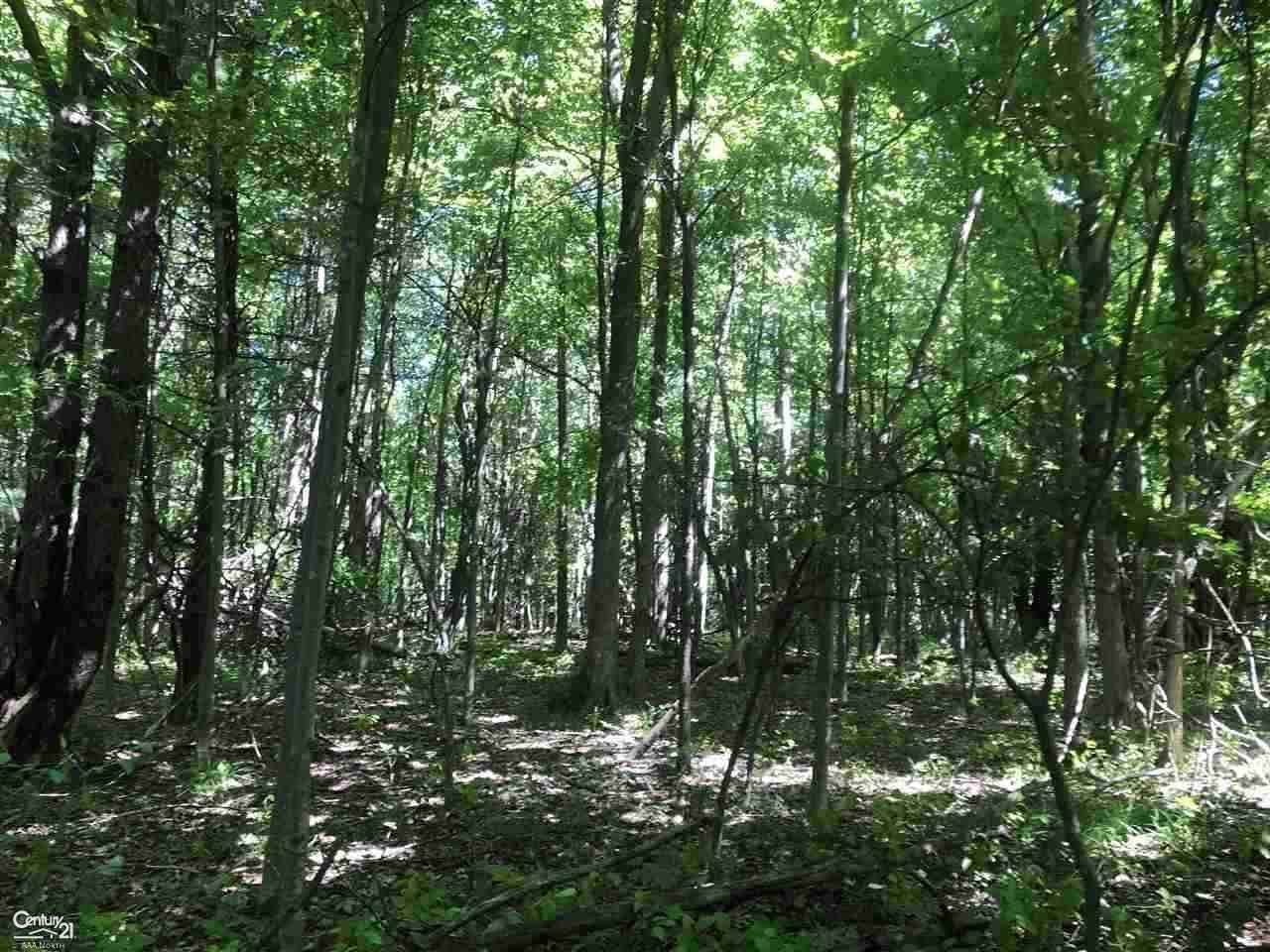 North Curtis Parcel A - Photo 1