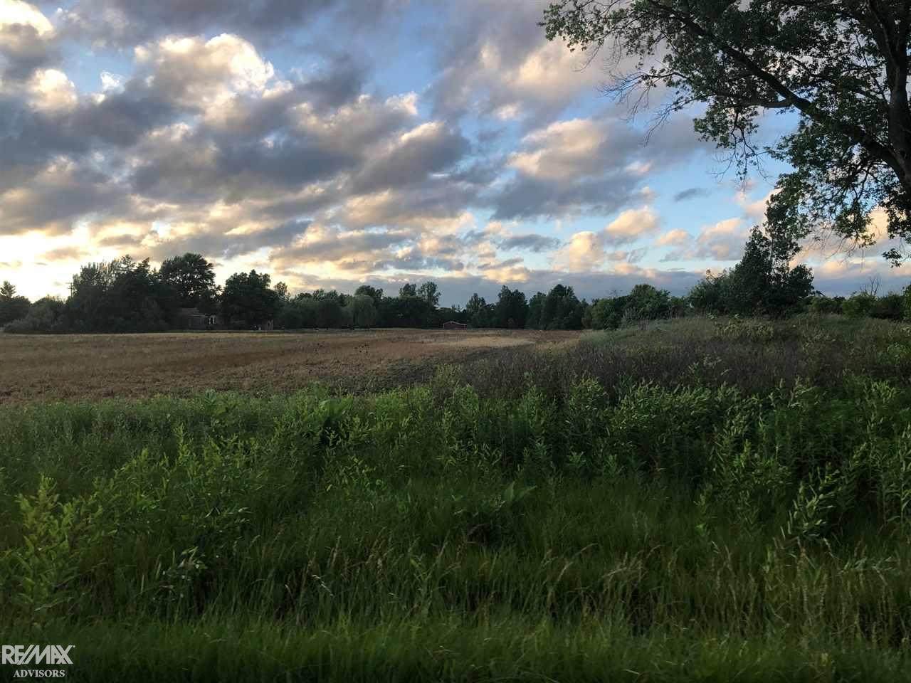 0 Shea - Photo 1