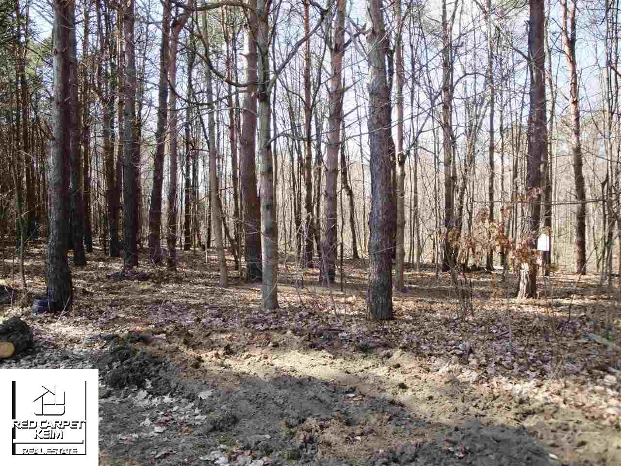 21980 Pleasant Valley Rd. - Photo 1