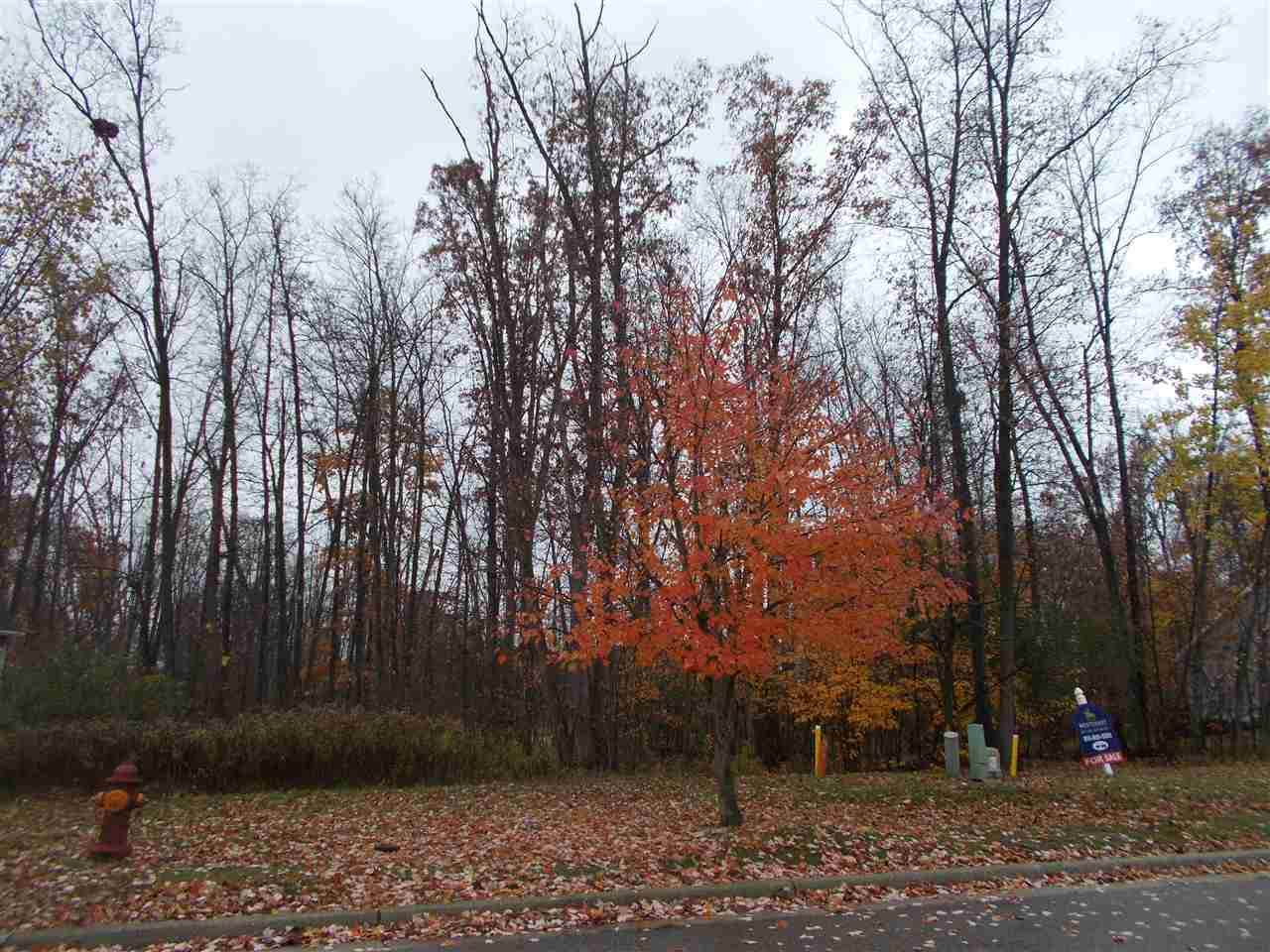 Edgewood - Photo 1